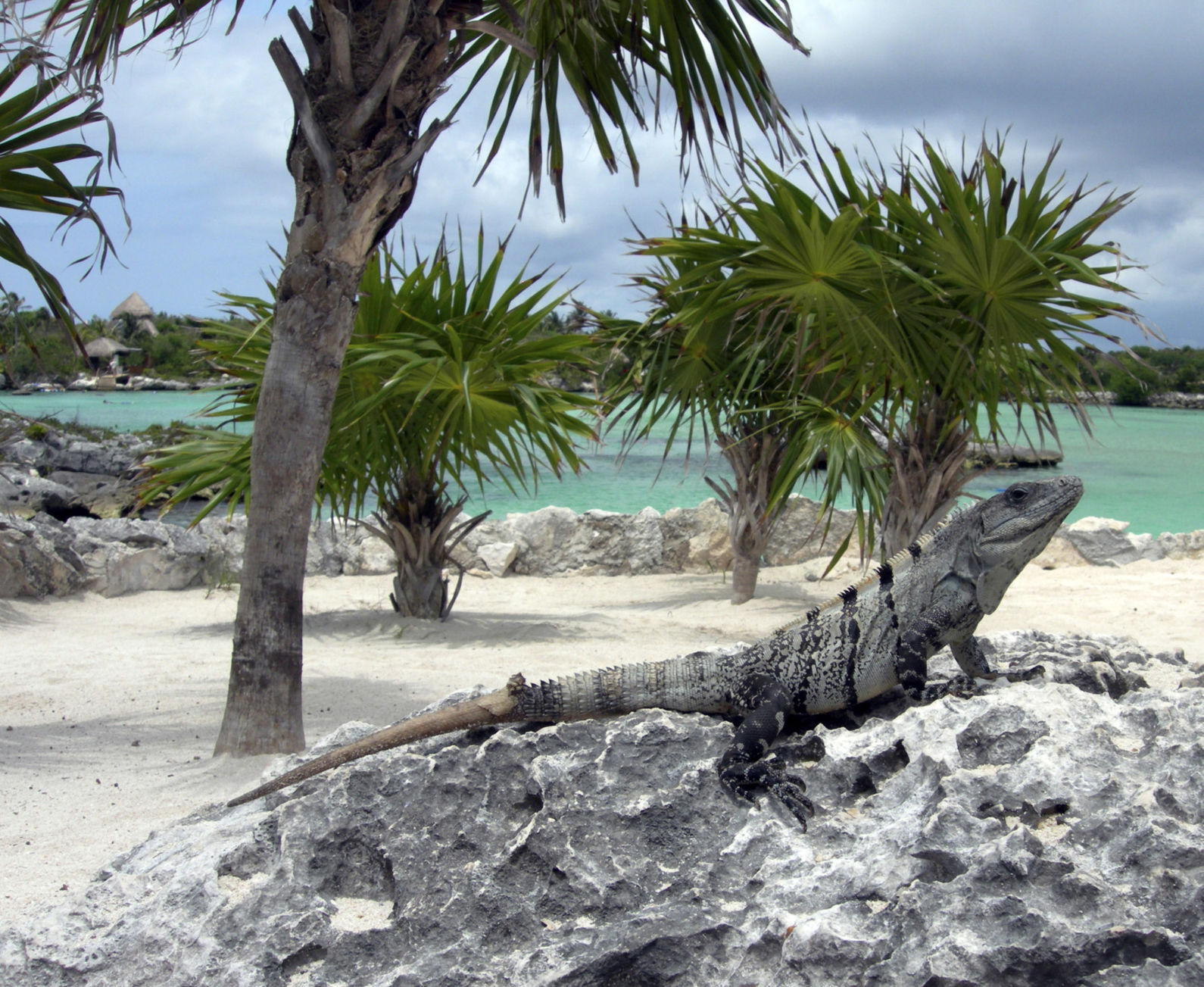 Cancun, Mexico